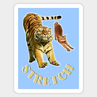 Stretch exercise by a tiger and a cat - gold text Magnet